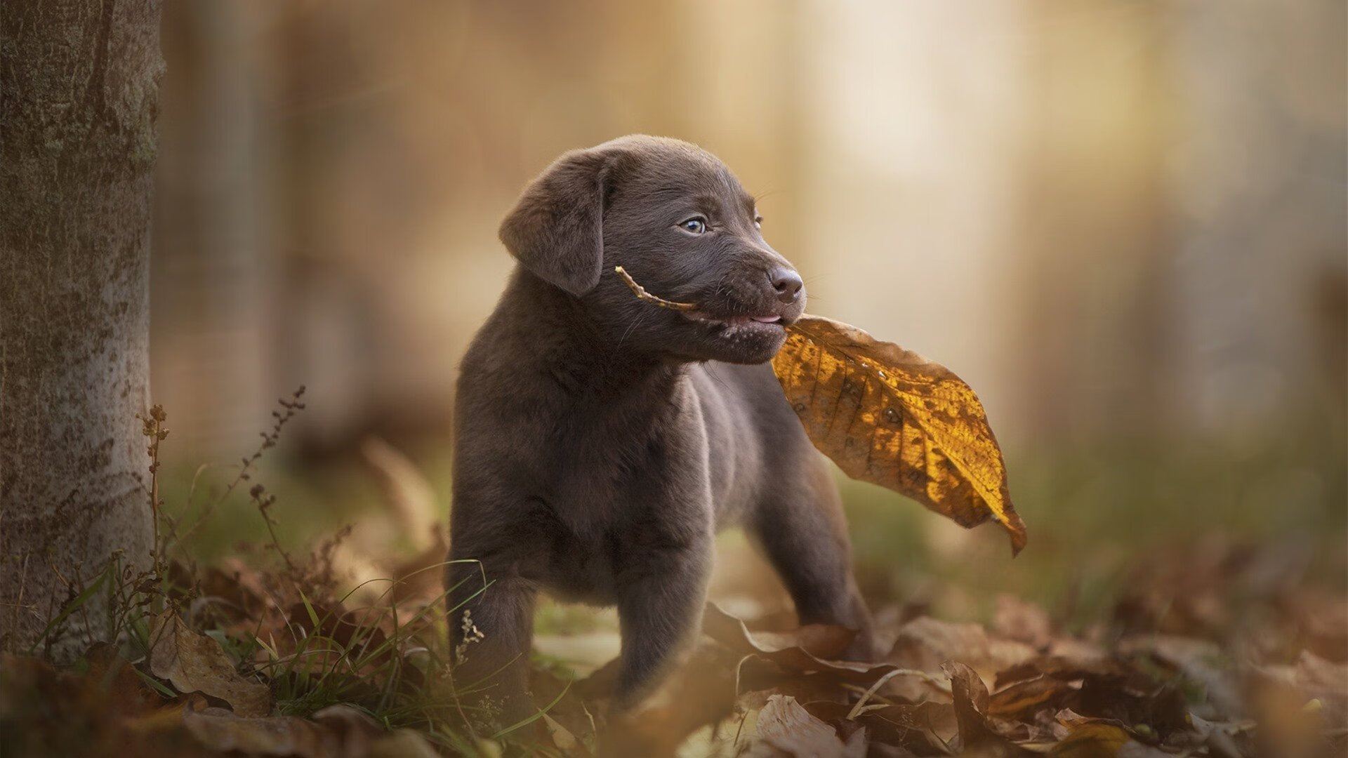 乐鱼体育官网下载-地方青训俱乐部设立公开选拔营发掘更多潜力球员，青训出名的俱乐部